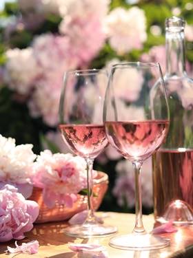 Drink Pink - Roséwein Tasting