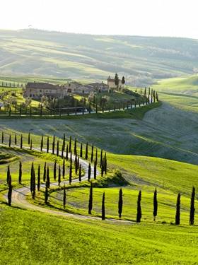 Flaschenadel Italiens - Marchese Antinori