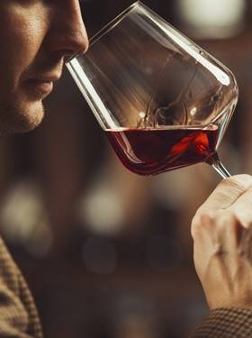 Wein Basics - Einsteiger Weinseminar