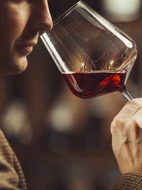 Weinheuer Tasting: Wein Basics