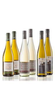 Weinpaket Bestseller Weiss